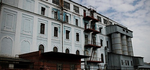 Мукомольный завод в Ярославле уйдет с молотка