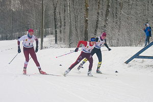 Под Ярославлем завершилось первенство ЦФО по лыжным гонкам среди юниоров