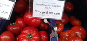 Цены в Ярославле – удержим ли помидоры?