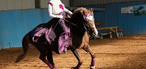 Цирк с конями «На Бордвее»