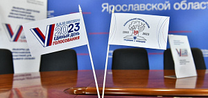 Явка избирателей в Ярославской области составила 7,44 процента