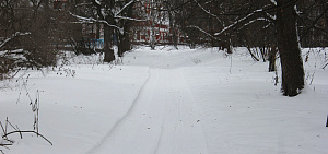 В центре Ярославля появится лыжная трасса