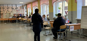 Стала известна явка на выборах в Ярославской области