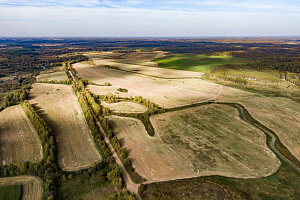 В Ярославской области начинается поиск владельцев брошенных сельхозугодий