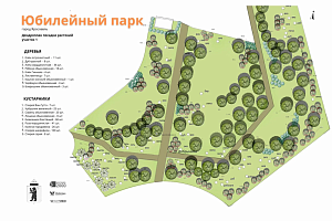 Ярославцам предложили посадить свое дерево в Юбилейном парке